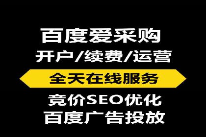 某知名品牌SEM运营策略及效果评估